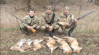 САМОЕ ЛУЧШЕЕ ОТКРЫТИЕ ОХОТЫ. ЗАГОННАЯ ОХОТА НА ЗАЙЦА, ЛИСЫ И ШАКАЛОВ.