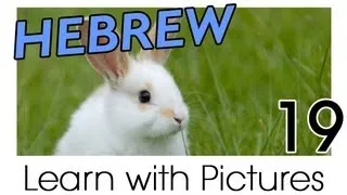 Learn Hebrew Vocabulary with Pictures - Farm Animals