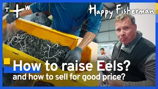 How to Raise Millions of Eels? The Secrets of Eels Farm | EP. 4 | Happy Fisherman