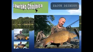 Łowisko Chojnica Piękna i Dzika