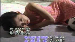 Hokkian Song - 攏是為著你啦 Long Shi Wie Tio Li La