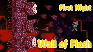 Terraria - Wall of Flesh kill on the First Night!