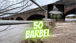 Storm Franklin the Aftermath - 50 River Ribble Barbel Achieved