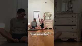 Dog yoga with my rescue pup