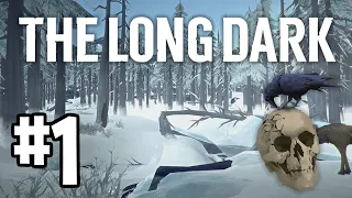 Pacifist Interloper  #1 (Start in Pleasant Valley) | The Long Dark