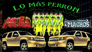 lo más perron de banda machos ✴️lo mejor de corridos 💥