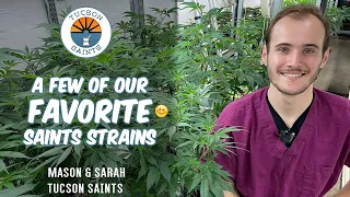 Tucson grown favorite medical strains "Inside SAINTS"