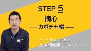 【Up.FTV カボチャ編 STEP5】摘心