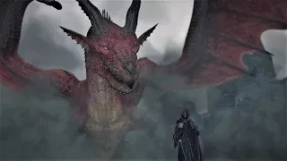 Deny Salvation - Dragon's Dogma Dark Arisen (PC Gaming)