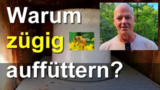 Bienen: warum jetzt zügig und massiv füttern? Auffütterung und Einwinterung der Völker