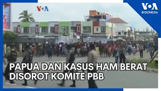 Papua dan Kasus HAM Berat Disorot Komite PBB