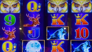 RECORD AMOUNT OF FREE GAMES ON TIMBERWOLF DELUXE #yaamavacasino #slotman #win #wow #casino #slots