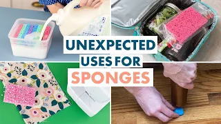 Surprising Uses for Sponges (That Don't Involve Scrubbing Countertops) - HGTV Handmade