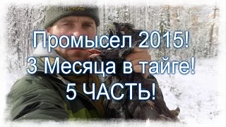 5 Часть . Промысел в тайге 2015 ! Охота на глухаря.