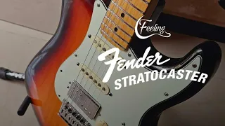 Fender Stratocaster MANTENIMIENTO COMPLETO