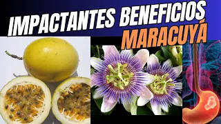 Descubre  increíbles beneficios del maracuyá y su flor para la salud