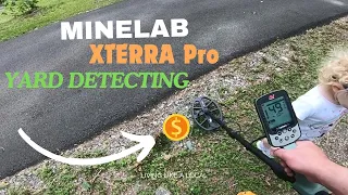 Minelab Xterra Pro Metal Detecting Yard Relics