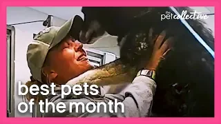 Best Pets of the Month (April 2020) | The Pet Collective