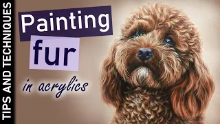 How to paint fur in acrylics | Painting a Cockerpoo/Poodle curly fur