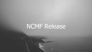 Dennis Kumar - Nebulous (NCMF Release)