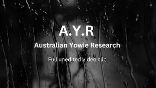 A night with AYR  full Video 4 (Australian Yowie Research )