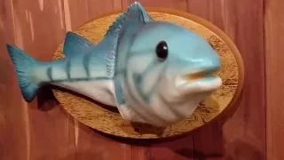 Frankie the Fish. A Singing Blue Bass