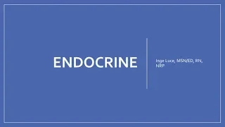 2019 ENDOCRINE