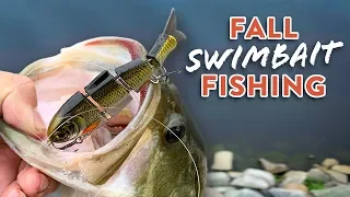 Fishing An ULTRA Realistic Swimbait for Big Bass in the Fall