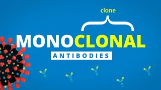 From Our Experts: Monoclonal Antibodies | What They Are and How They Fight COVID-19