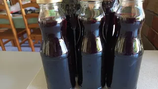 Quick and easy Mulberry Syrup