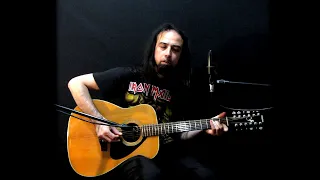 Wasting Love - Iron Maiden acoustic cover by Aged Teen