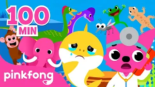 [BEST] Lagu paling populer di 2022 | Lagu Hewan & Dinosaurus | Lagu Anak | Pinkfong & Baby Shark
