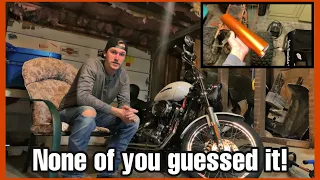 Revealing the Vinyl Wrap Color for My Harley Davidson Sportster!!! 1st time vinyl wrapping