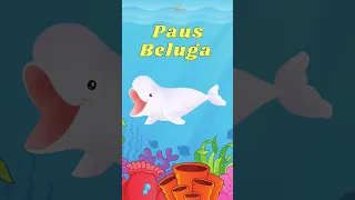 Mengenal Paus Beluga #edukasianak #anakanak #binatang #hewan