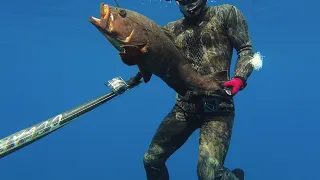 spearfishing, best shots 2023 / лучшие выстрелы 2023