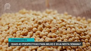 O que esperar do mercado da soja para esta semana? | Canal Rural