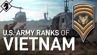 U.S. Army Rank Insignia of the Vietnam War (1965-1975)