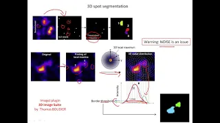 I2K 2020 tutorial: 3D Analysis with the 3D ImageJ Suite (session 1, part 4)