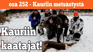 Osa 252 - Kauriin metsästystä - 2022/2023