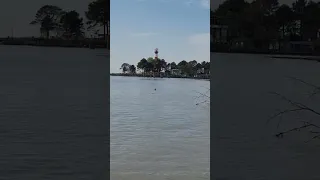 Устье реки Риони, Маяк, Поти, Грузия (The mouth of the Rioni River, Mayak, Poti, Georgia) 🌊 🇬🇪