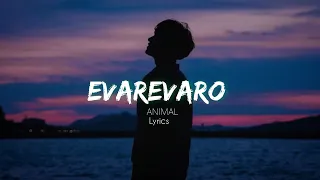 EVAREVARO || ANIMAL | LYRICAL AUDIO - RANBIR KAPOOR - RASHMIKA ( SKN LYRICALS)