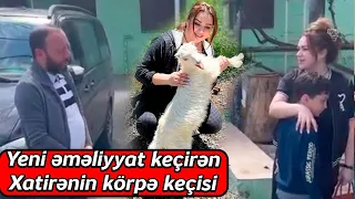 Yeni əməliyyat keçirən Xatirə İslamın körpə keçisi - VİDEO