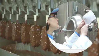 Modern Food Processing Technology with Amazing Automatic Machines That Are At Another Level