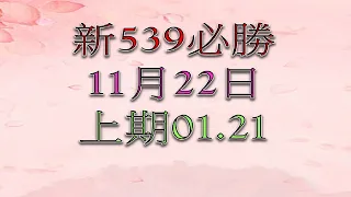 11月22日新539必勝-2