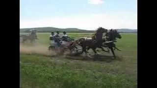 скачки в Краснотуранске