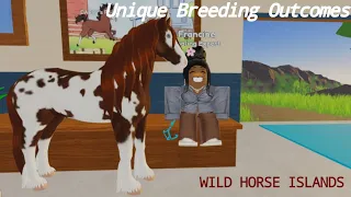 Unique Outcomes/Special Coats | Combinations & Breeding [WHI/WILD HORSE ISLANDS]