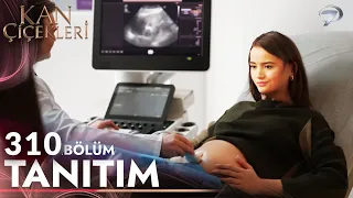 Kan Çiçekleri 310. Bölüm Fragmanı | "Bebeğiniz Doğum İçin Hazır Görünüyor !"