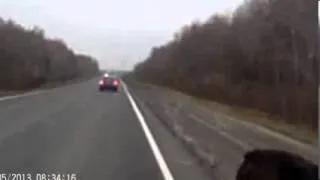 Сбили медведя на трассе Bear was shot down on the road