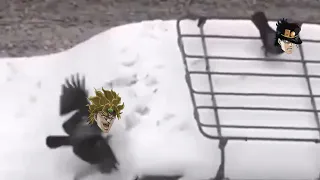 Crow's Bizarre Adventure