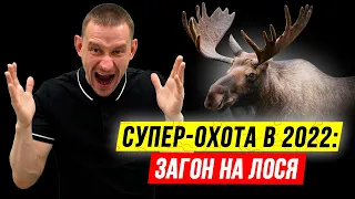 ЗАГОН на ЛОСЯ! 🔥 Удачная загонная охота на лося 2022